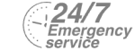 24/7 Emergency Service Pest Control in Newbury Park, Gants Hill, IG2. Call Now! 020 8166 9746