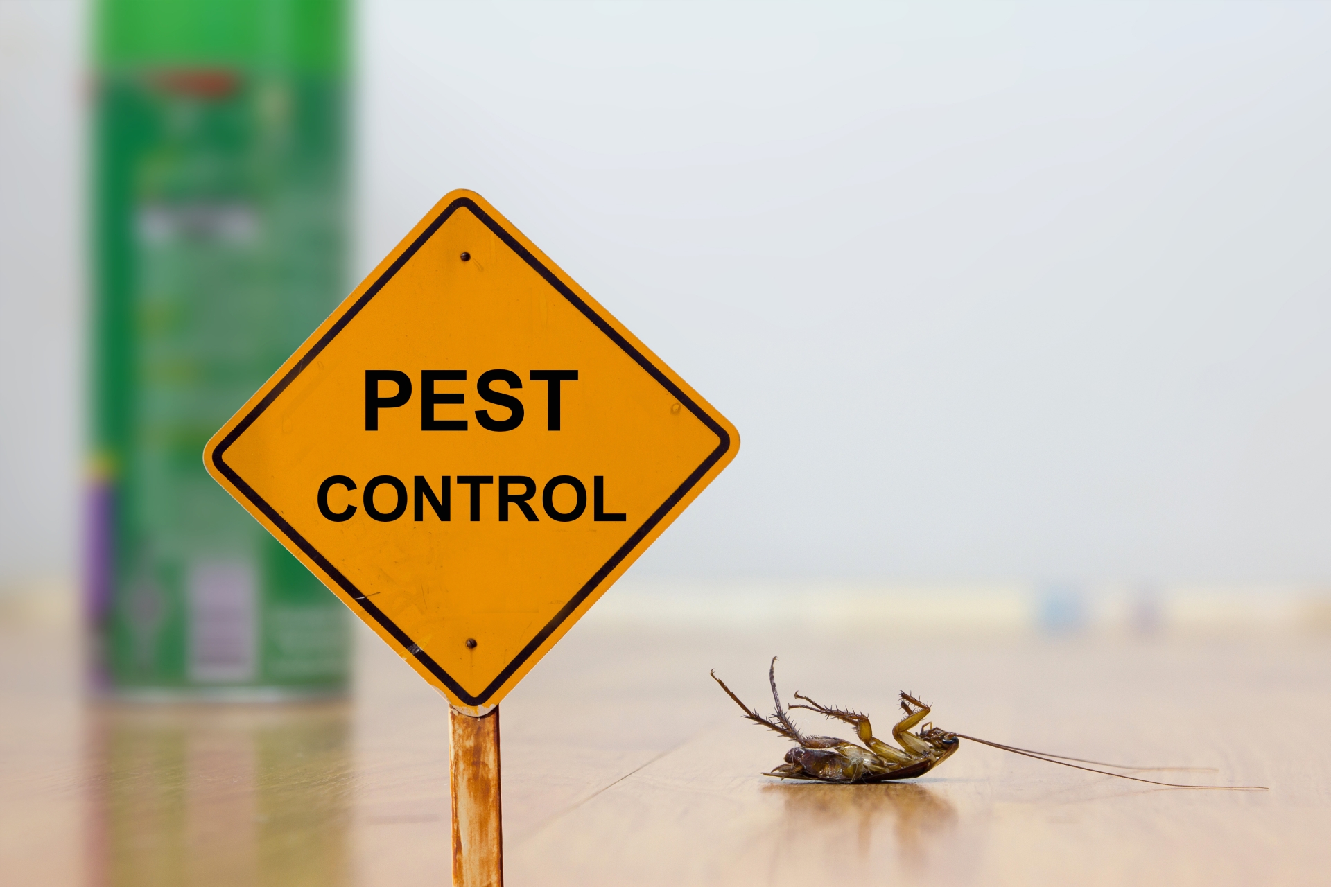 24 Hour Pest Control, Pest Control in Newbury Park, Gants Hill, IG2. Call Now 020 8166 9746